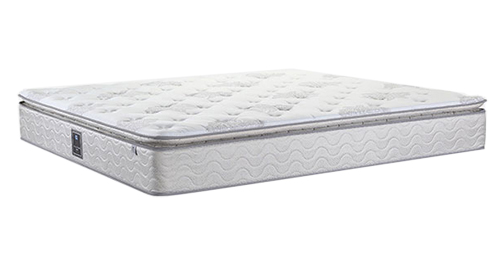 新皇室護(hù)脊臻選版