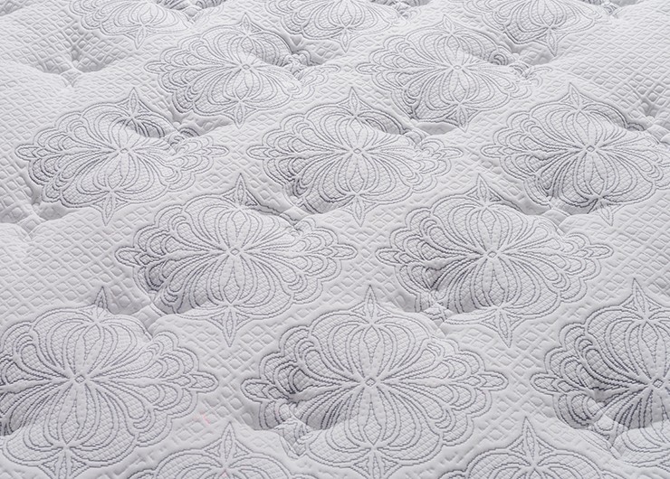 8_0000_IMG_6365 copy(1)