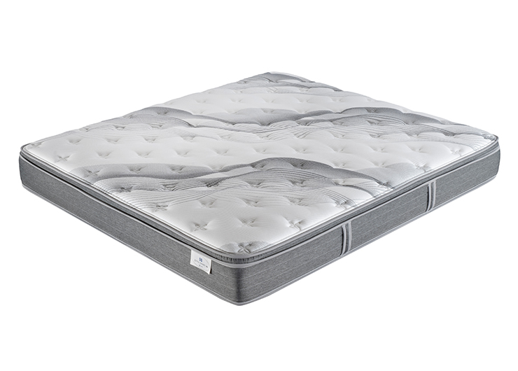 未標題-2_0001_IMG_00062 copy