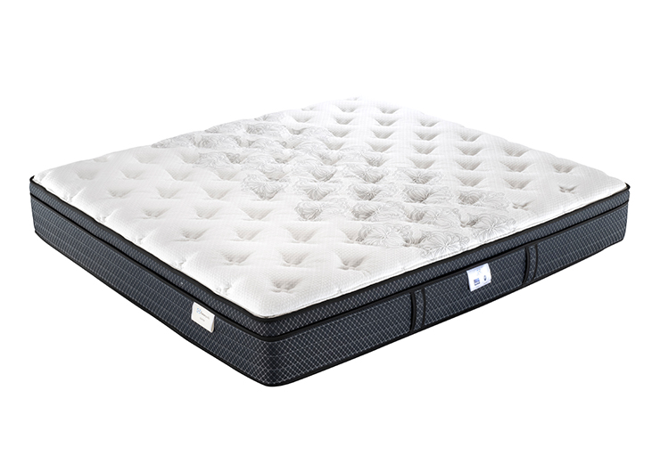 1_0002_IMG_0252 copy