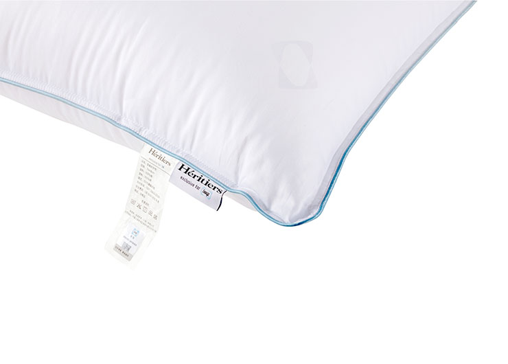 未標題-1_0001_IMG_0256