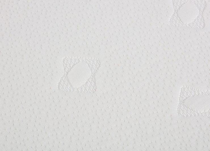 未標題-1_0011_IMG_0234