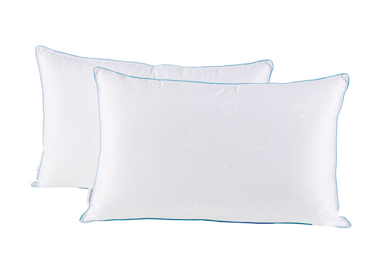 未標題-1_0002_IMG_0255