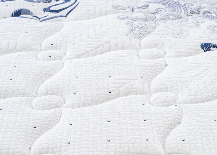 2_0000_DSC_0145 copy