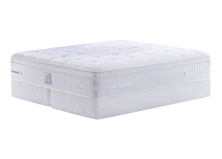 未標題-1_0003_DSC_0431 copy