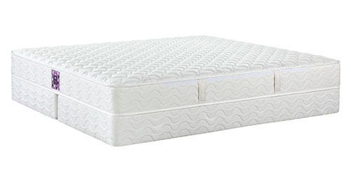 安夢（女生款）