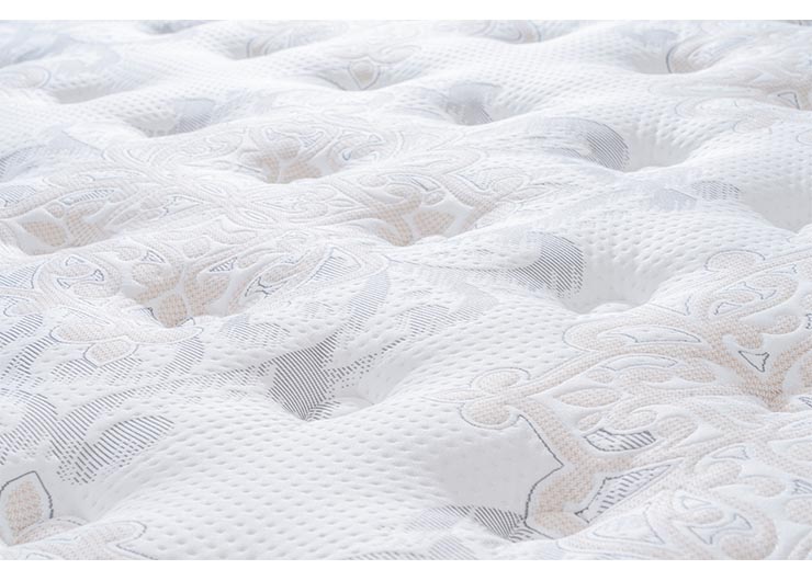 6c3ad55efaa6e864d4433ab11f59df24