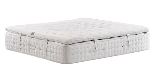 Haynes（臻選舒睡棉柔層）