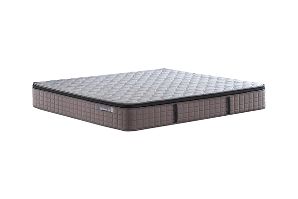 精品館-卓越系列-卓瑞靈動款