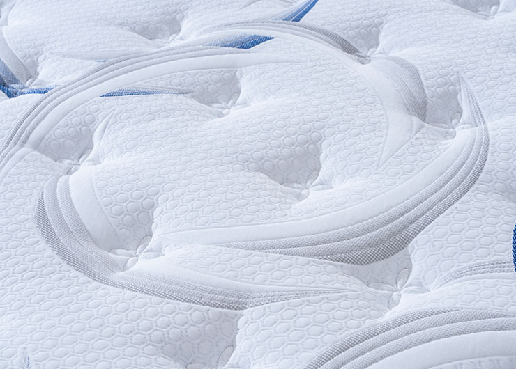 22_0001_DSC6241 拷貝