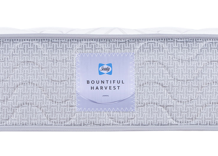 1_0001_DSC6255 拷貝