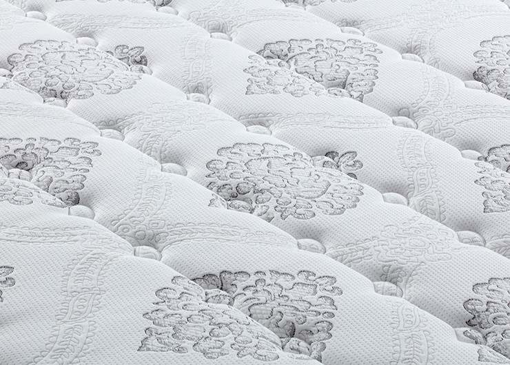 ca370b825c1c7d135bb0122c2e855324