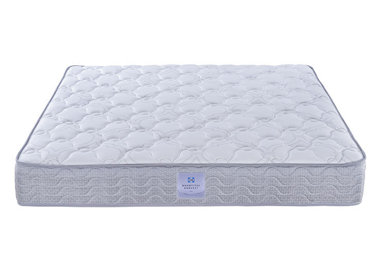 1_0002_DSC6249 拷貝