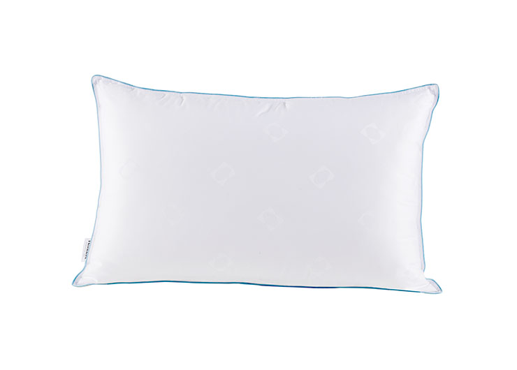 756e55add9fd3fd01797850b229ce6eb