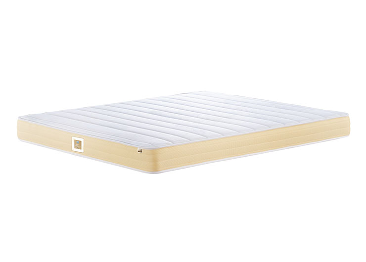 00_0002_ESC_2379 拷貝 2